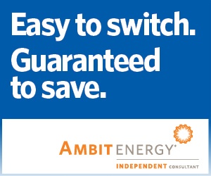 switch_save_300_250_b.jpg